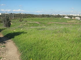 Tel Gerisa