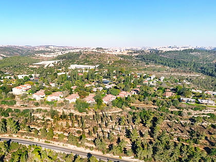 Palmach-Tzuva