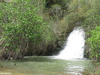 Rezerwat Przyrody Iyon Stream