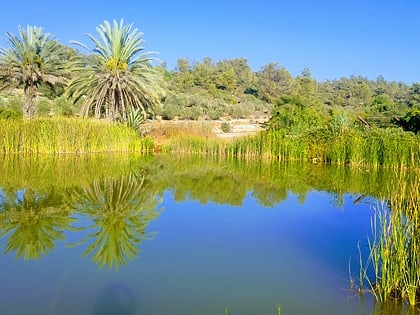 rezerwat przyrody biblijnej izraela neot kedumim