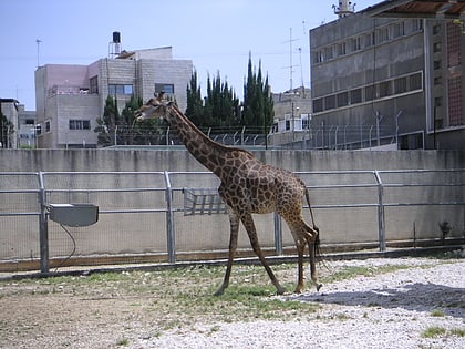 Zoológico de Kalkilia
