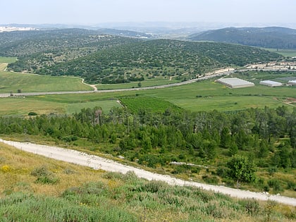 valley of elah