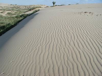 ashdod sand dune aschdod