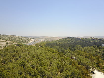 rosh haayin forest