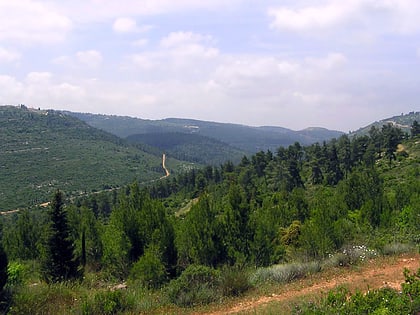Montes de Judea