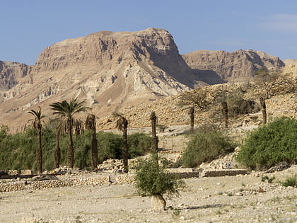 ein gedi