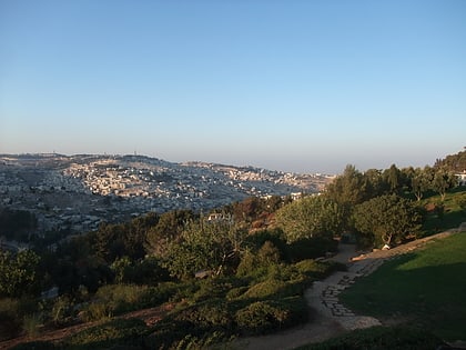 peace forest jerusalem