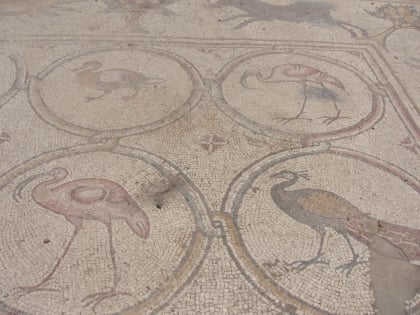 birds mosaic cesarea