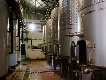 binyamina winery binjamina giv at ada