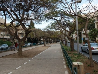 rothschild boulevard tel aviv