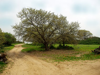 hasharon park hadera