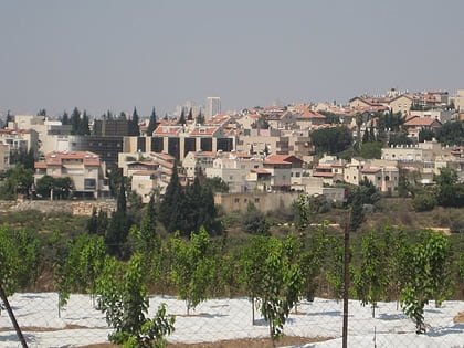 arnona jerusalem