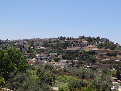Daliyat el-Carmel