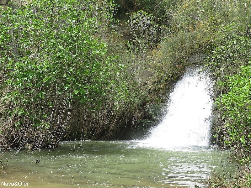 iyon stream nature reserve metoula