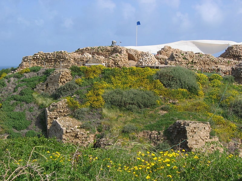 apollonia arsuf herzliya