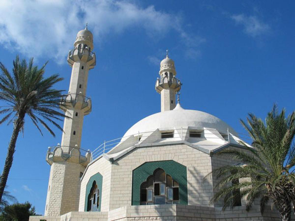 Mahmood Mosque
