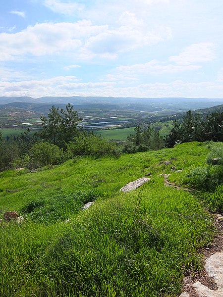 Monts de Judée