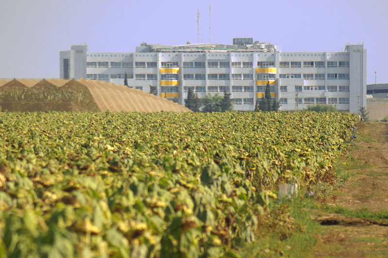 Nahariya