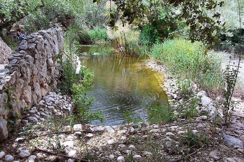 Jardin botanique national d'Israël