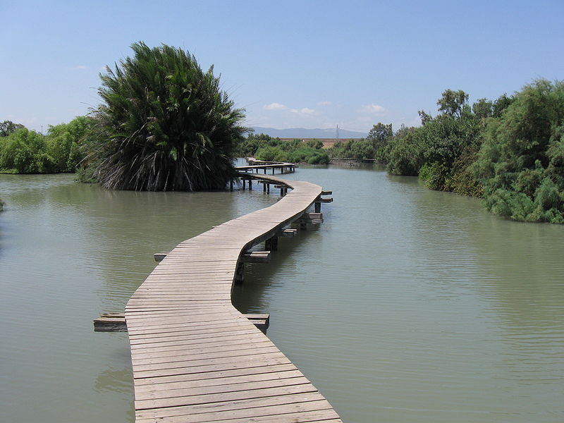 Tel Afek