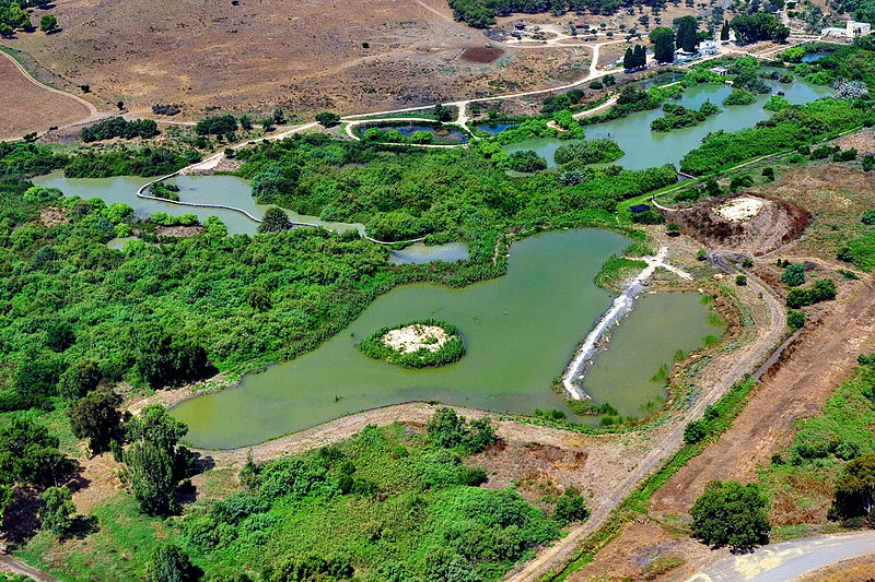 Tel Afek