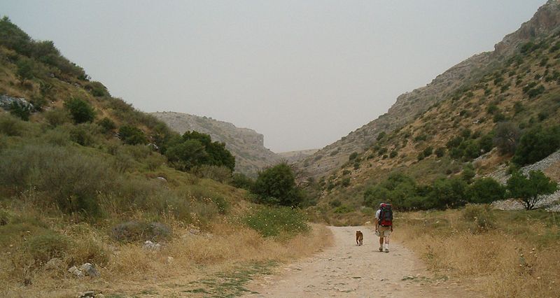 Sentier national israélien