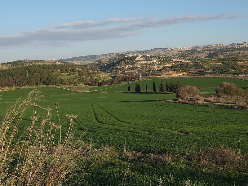 Monts de Judée