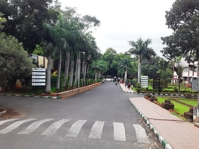 all india institute of speech and hearing mysore