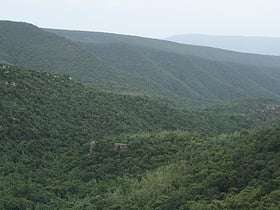 parque nacional de sri venkateswara