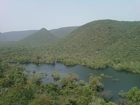 Eastern Highlands moist deciduous forests