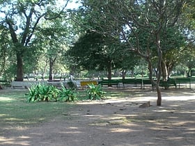 law garden ahmadabad