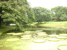 acharya jagadish chandra bose indian botanic garden kalkutta