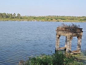 lingambudhi lake mysore