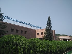 regional museum of natural history bhubaneswar