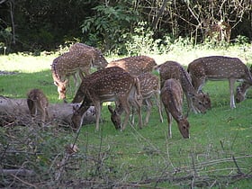 Parque nacional de Mudumalai