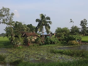 Sundarbany