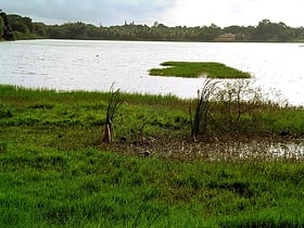 Kukkarahalli lake