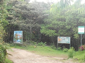 Park Narodowy Anamudi Shola