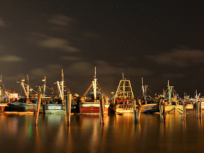 royapuram fishing harbour