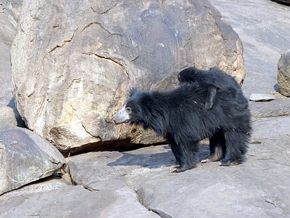 Daroji Sloth Bear Sanctuary