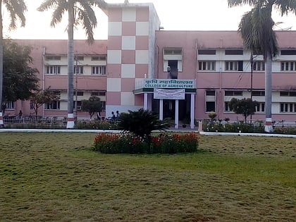 College of Agriculture