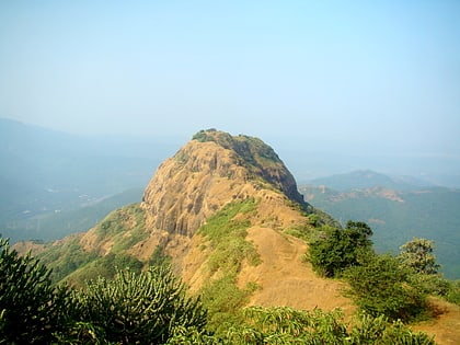Jangali Jayagad
