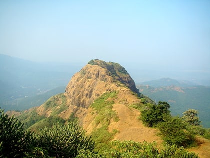 jangali jayagad