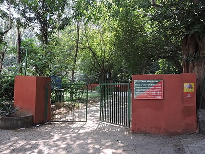 parrot bird sanctuary chandigarh czandigarh
