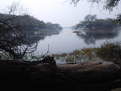 parc national de sultanpur gurgaon