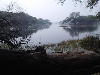 sultanpur national park sultanpur bird sanctuary gurugram