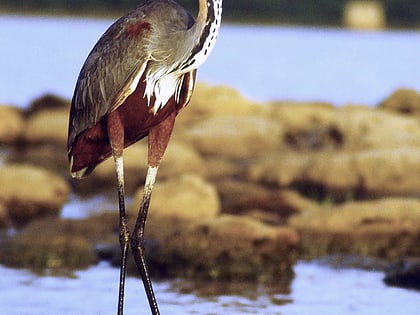 Nalbana Bird Sanctuary
