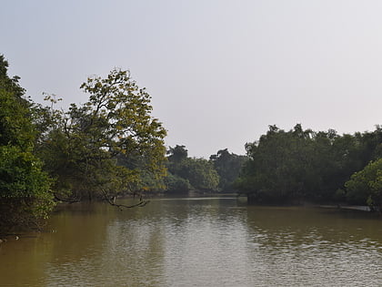 bhitarkanika mangroves