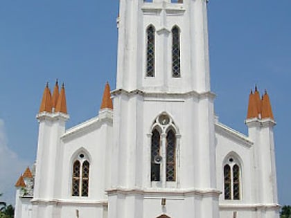 basilica of our lady of snows cochin