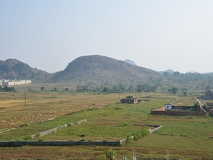Meseta Chota Nagpur